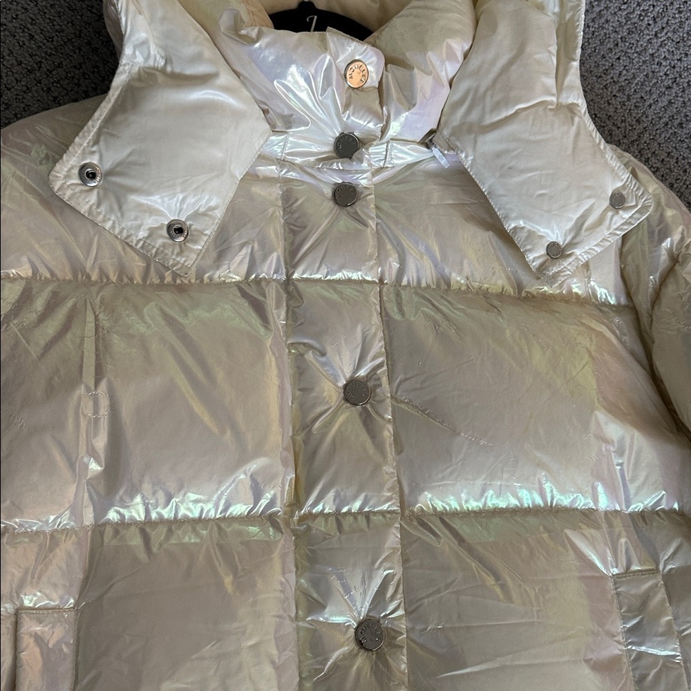 Moncler Iridescent Cream Puffer Jacket - Picture 4 of 17